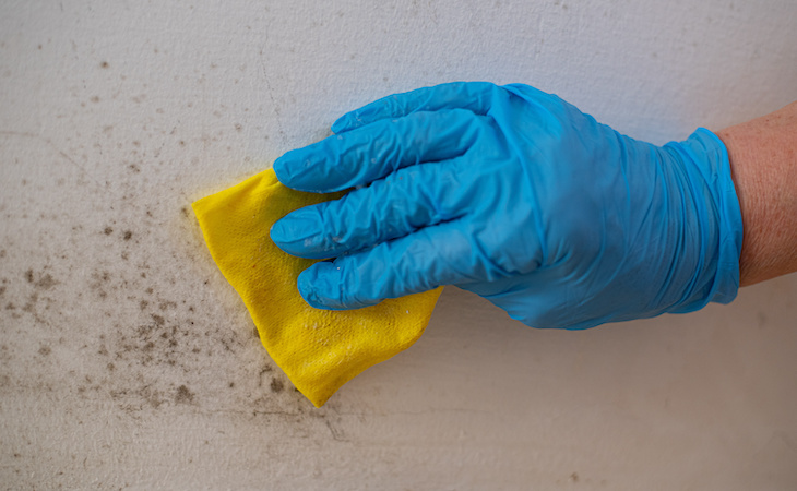 person wiping away mold in bedroom