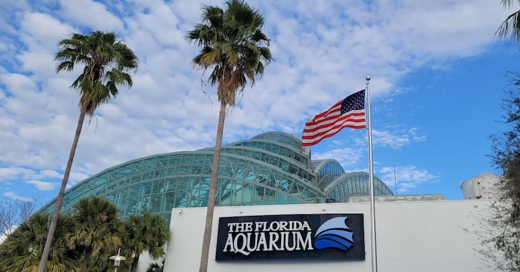 the florida aquarium - tampa, florida